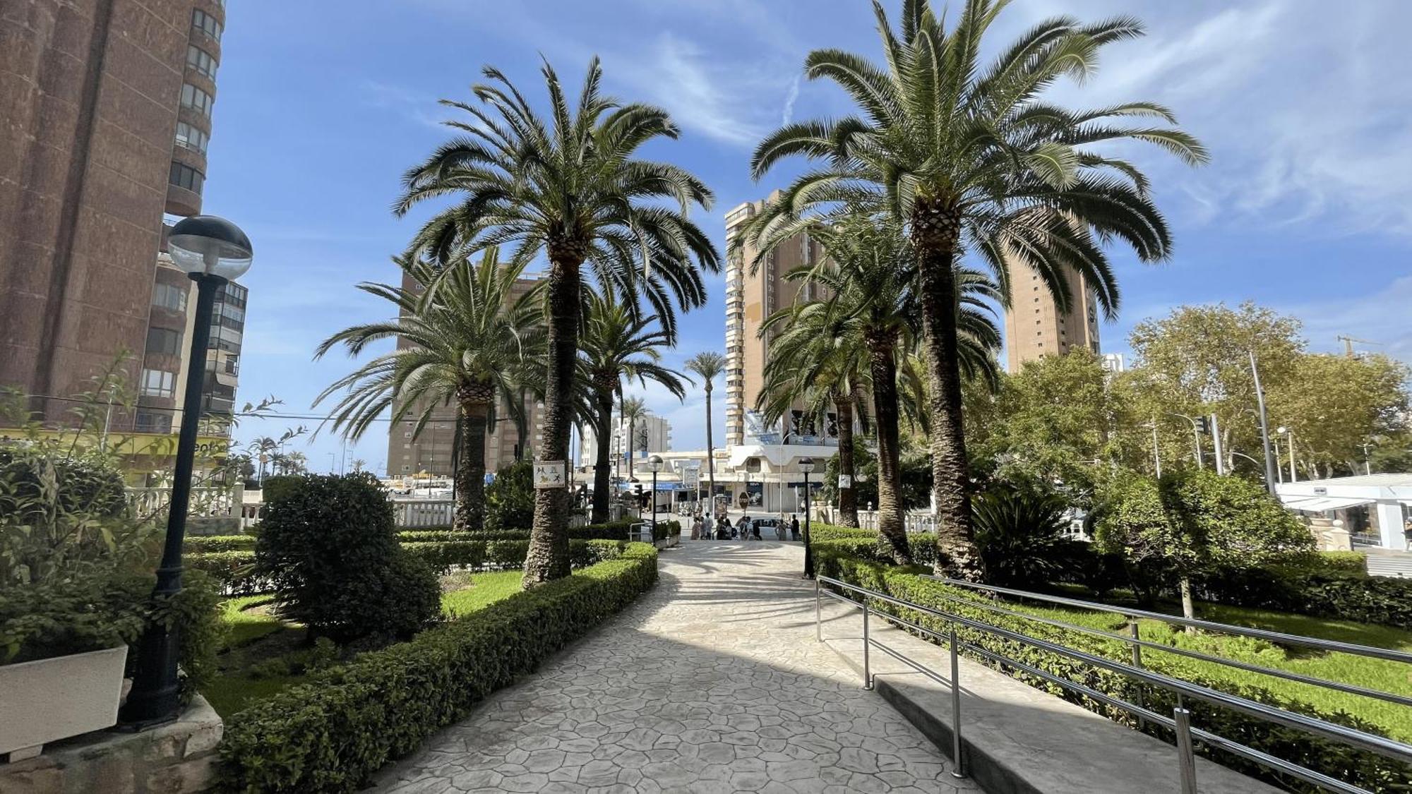 3 Benidorm